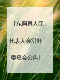 东阿县人民代表大会常务委员会公告